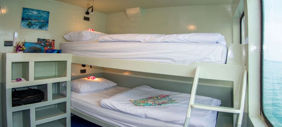 En-suite Bunk Bed Cabin