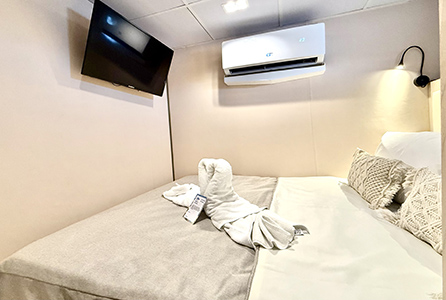 Solo Stateroom